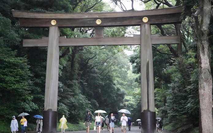 Visitors walking under the torii gate at Meiji Shrine, Tokyo, during a guided tour.