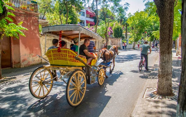 Horse-drawn carriage on a tree-lined street in Princes' Islands, Istanbul.