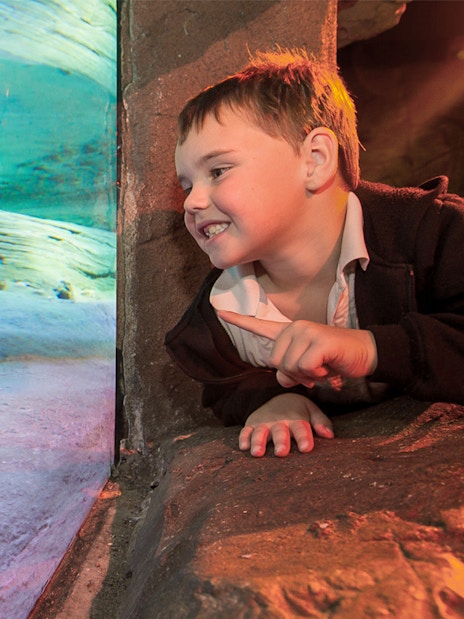 Child observing a crocodile through glass at SEA LIFE Melbourne.