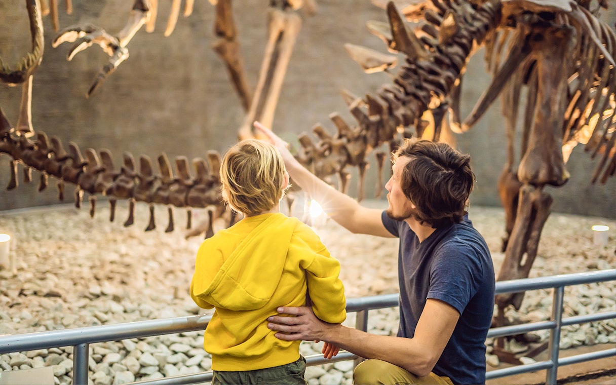 Visitors observing dinosaur skeleton at Melbourne Museum.