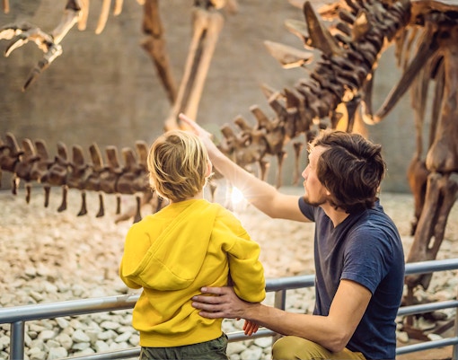 Visitors observing dinosaur skeleton at Melbourne Museum.