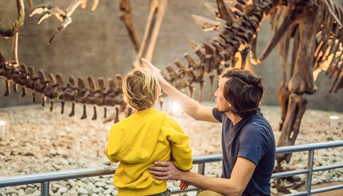 kid looking at dinosaur skeleton