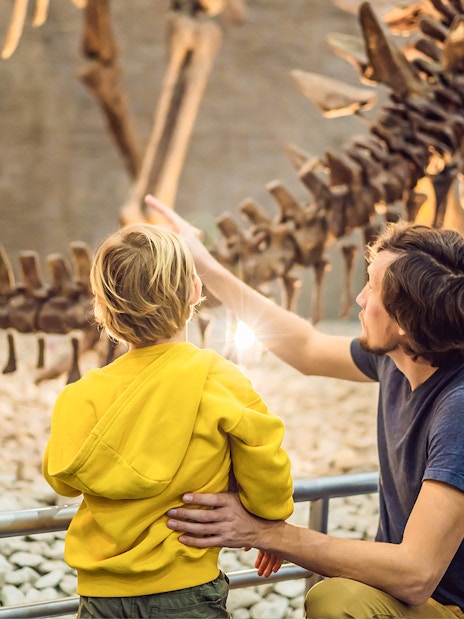 Visitors observing dinosaur skeleton at Melbourne Museum.