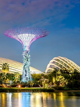 Supertree Grove illuminated at night in Singapore's Gardens by the Bay.