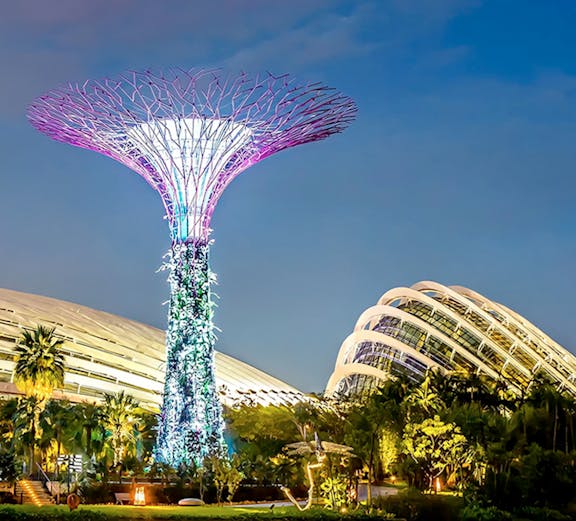 Supertree Grove illuminated at night in Singapore's Gardens by the Bay.