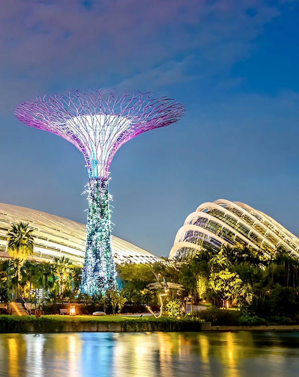 Supertree Grove illuminated at night in Singapore's Gardens by the Bay.