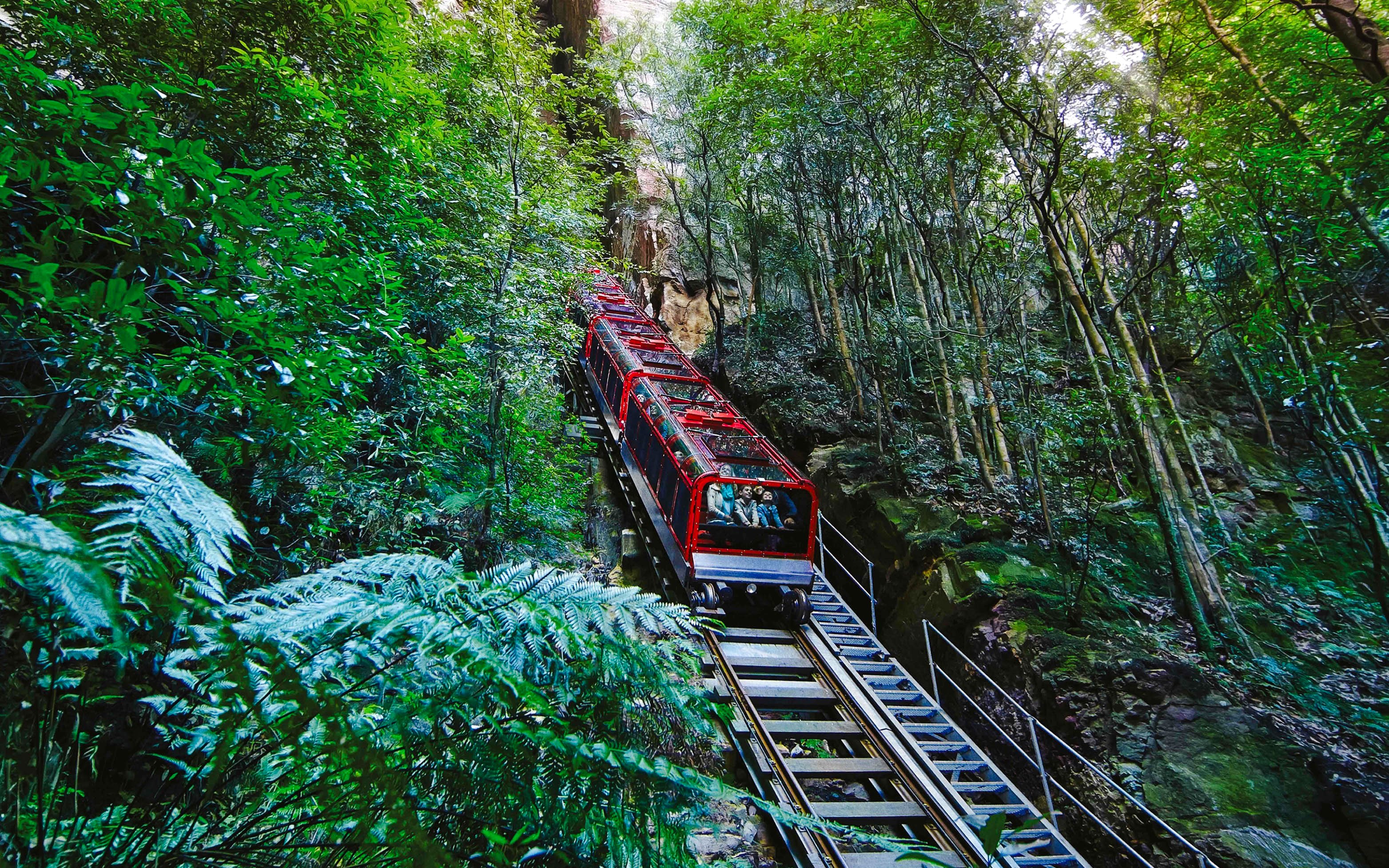 Blue Mountains Zig Zag Train ascending through lush forest scenery.