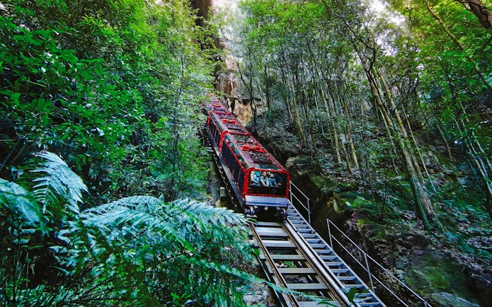 Blue Mountains Zig Zag Train ascending through lush forest scenery.