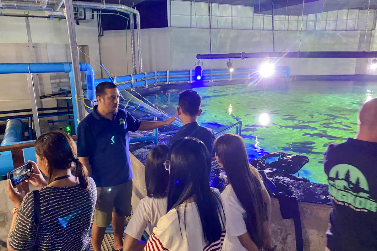 Guide explaining aquarium features to visitors at Angkor Wildlife & Aquarium, Siem Reap.