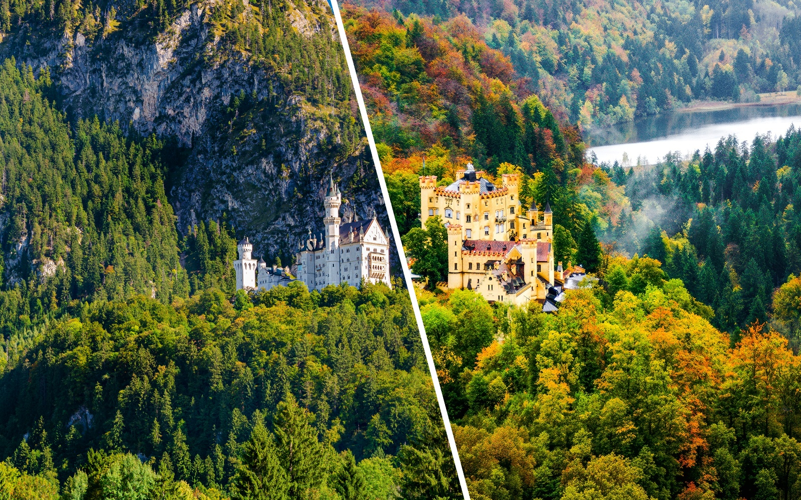 Neuschwanstein Castle and Hohenschwangau Castle surrounded by forested hills in Bavaria, Germany.