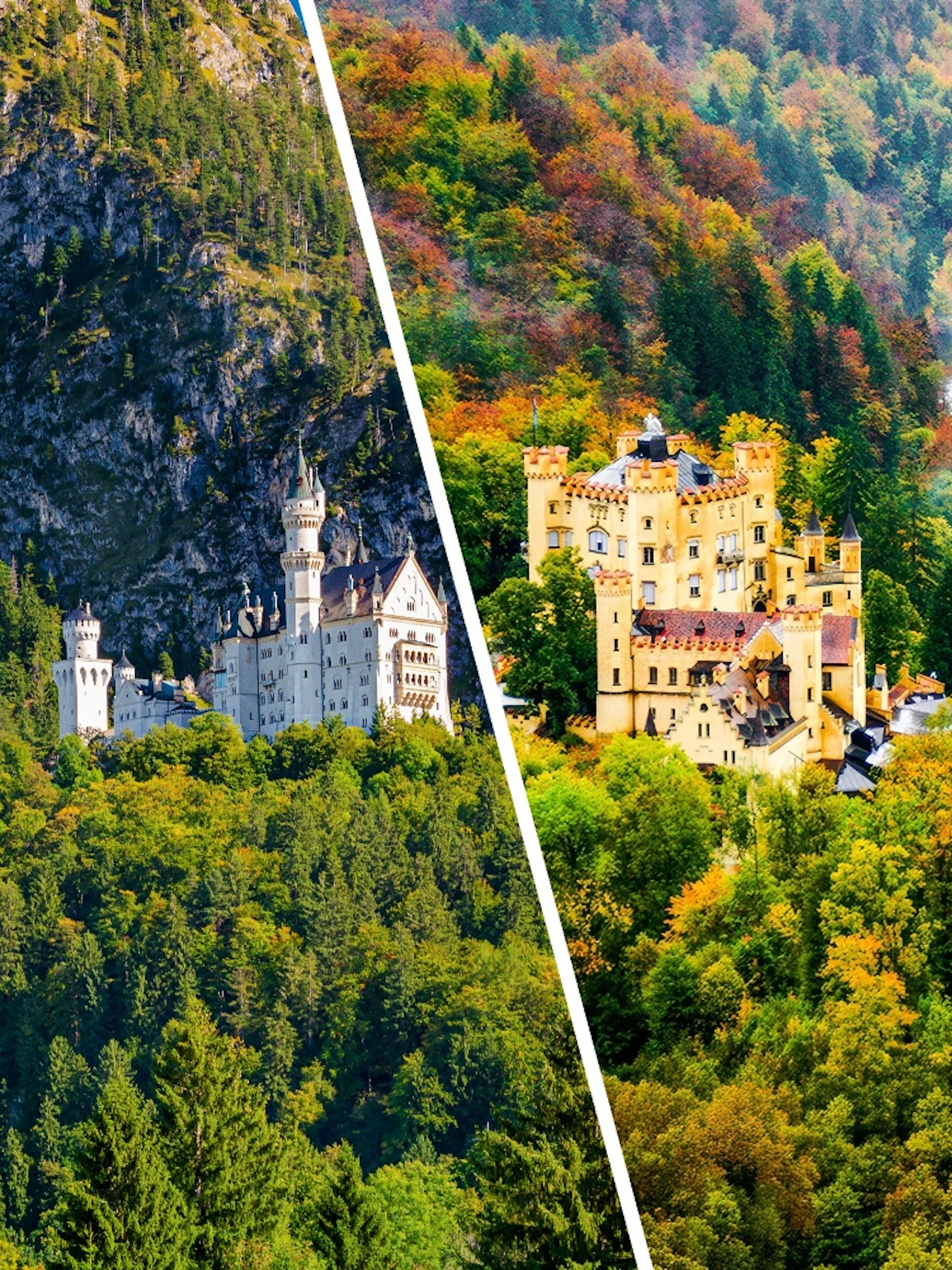 Neuschwanstein Castle and Hohenschwangau Castle surrounded by forested hills in Bavaria, Germany.
