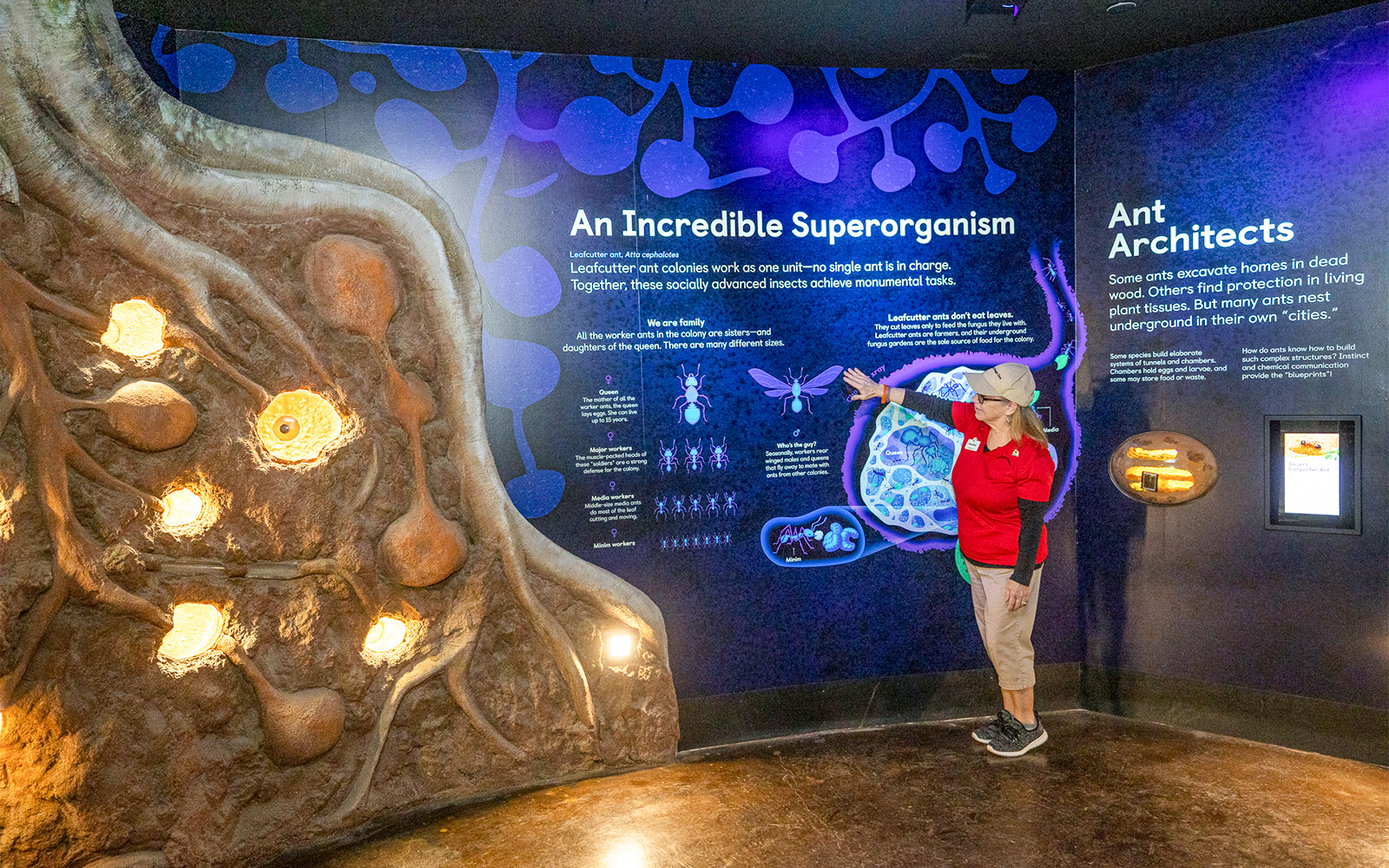 Conservation and research programs at the San Diego Zoo