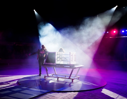 Show Las Vegas David Copperfield - Spectacles de magie