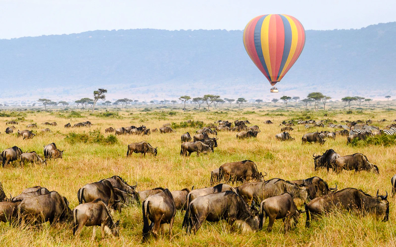 Masai Mara Sunrise Hot Air Balloon Safari with Champagne Bush Breakfast (Product 56432)