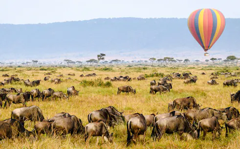 Hot air balloon over wildebeest in Masai Mara, Nakuru.