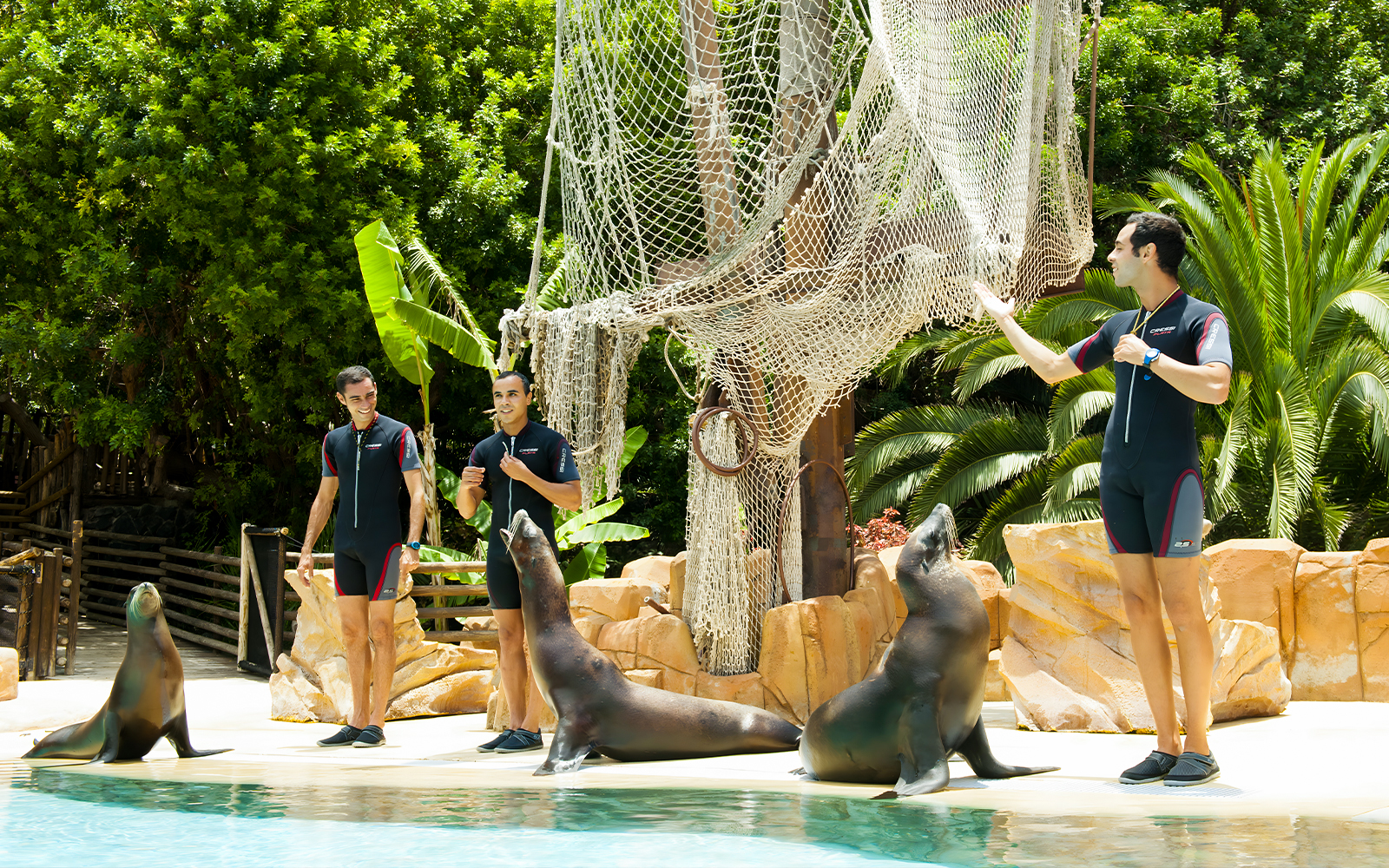 Sealion show with trainers at Jungle Park Tenerife.