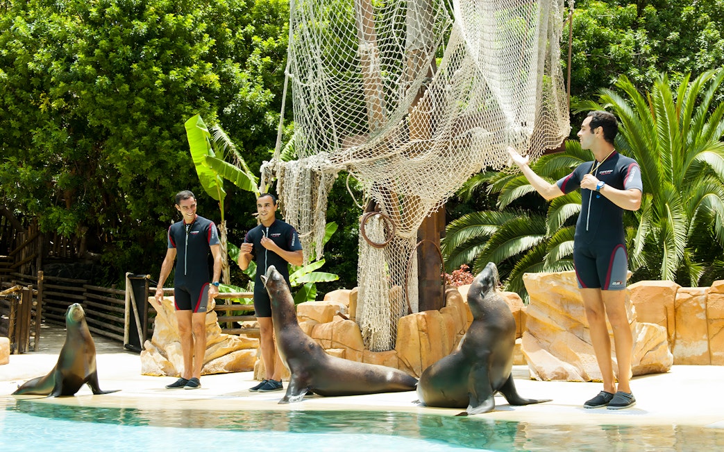 Sealion show with trainers at Jungle Park Tenerife.