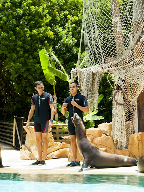 Sealion show with trainers at Jungle Park Tenerife.