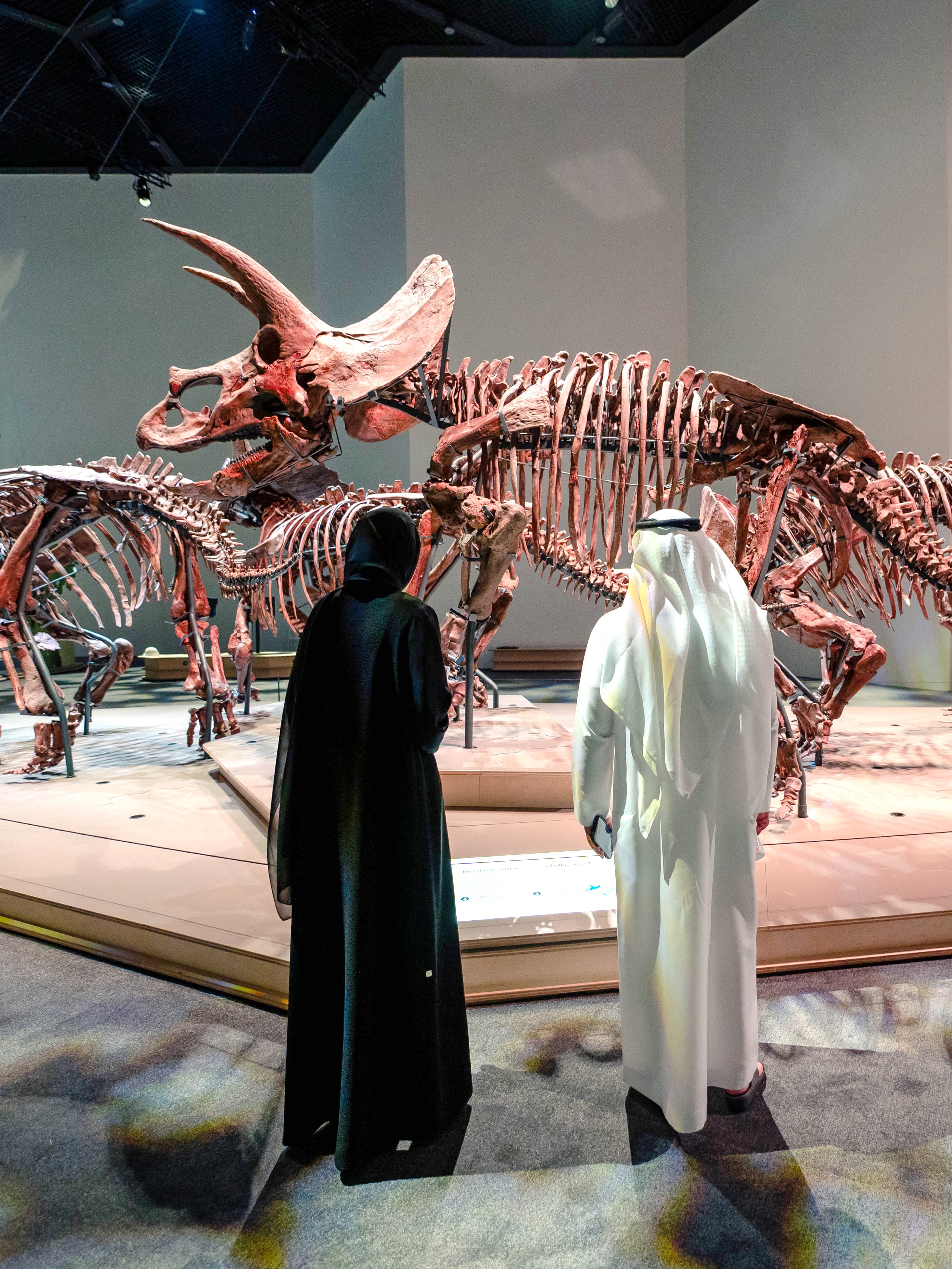 Museo de Historia Natural de Abu Dhabi