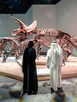 Triceratops skeletons exhibit at National History Museum, Abu Dhabi, with visitors observing.