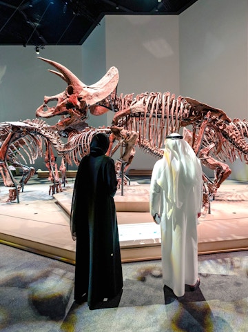 Triceratops skeletons exhibit at National History Museum, Abu Dhabi, with visitors observing.