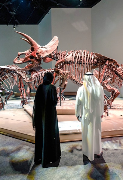 Triceratops skeletons exhibit at National History Museum, Abu Dhabi, with visitors observing.