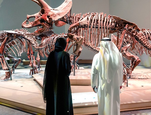 Triceratops skeletons exhibit at National History Museum, Abu Dhabi, with visitors observing.