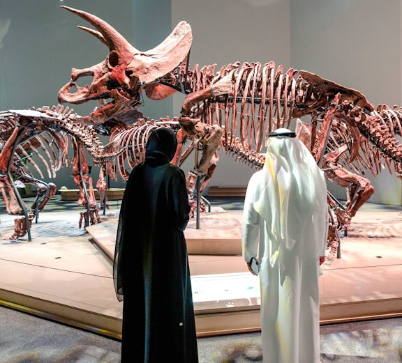 Triceratops skeletons exhibit at National History Museum, Abu Dhabi, with visitors observing.