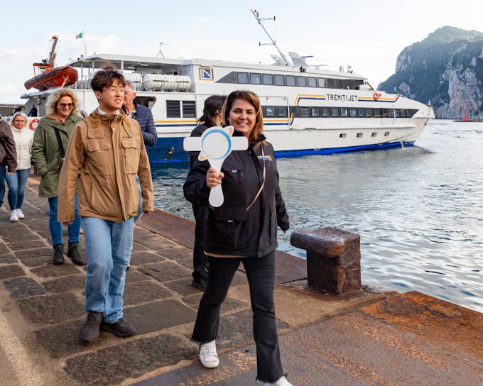 From Naples: Capri & Anacapri Small-Group Day Trip with Hydrofoil Transfers