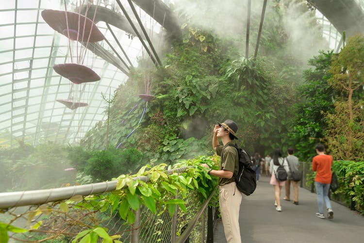 Cloud Forest Singapore walkway with lush greenery and mist.