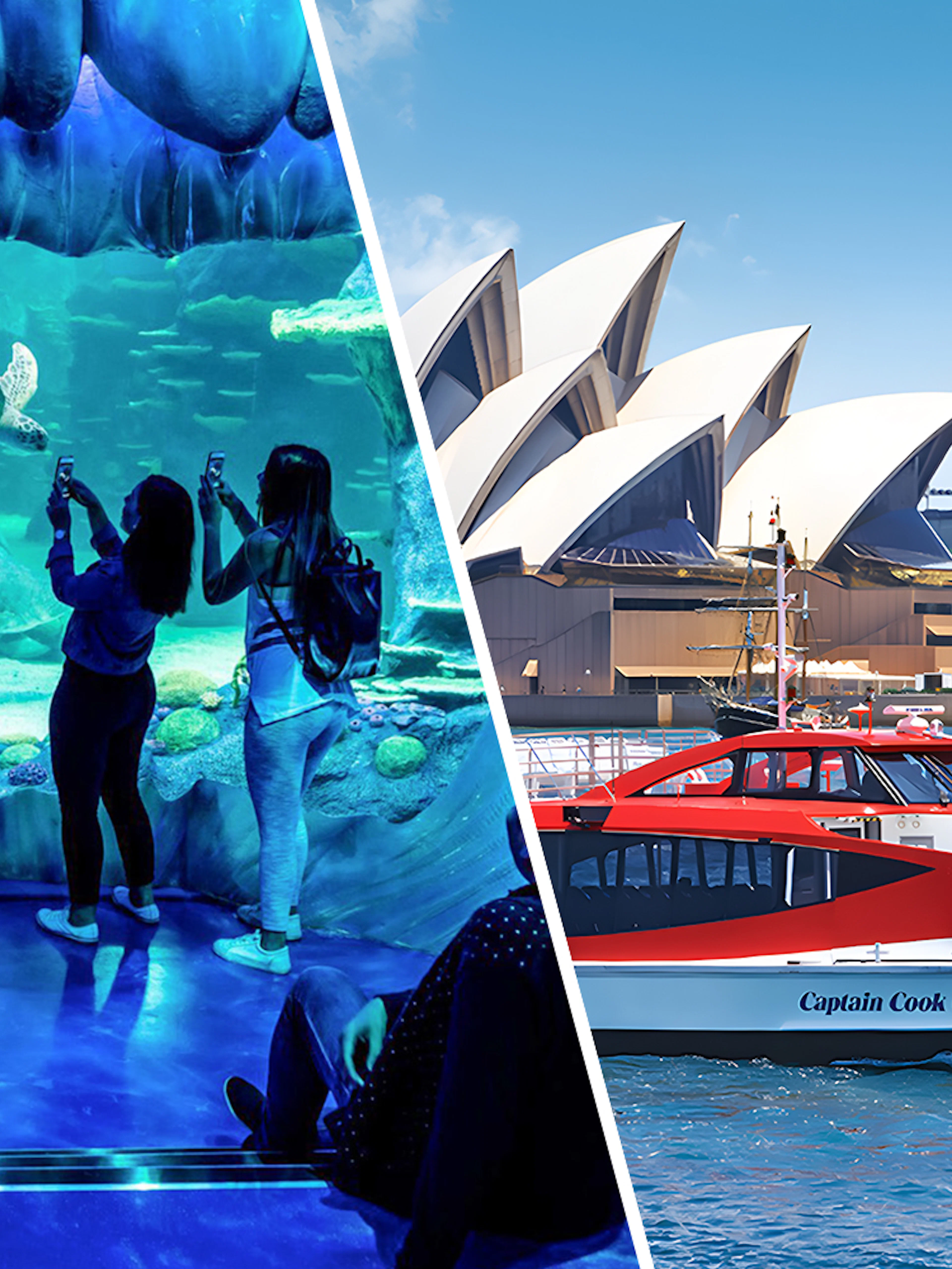 SEA LIFE Sydney Aquarium visitors viewing sea turtle; ferry near Sydney Opera House.