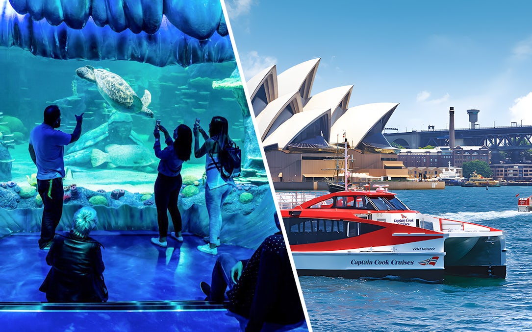 SEA LIFE Sydney Aquarium visitors viewing sea turtle; ferry near Sydney Opera House.