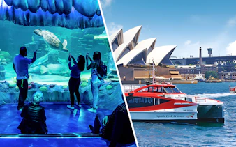 SEA LIFE Sydney Aquarium visitors viewing sea turtle; ferry near Sydney Opera House.