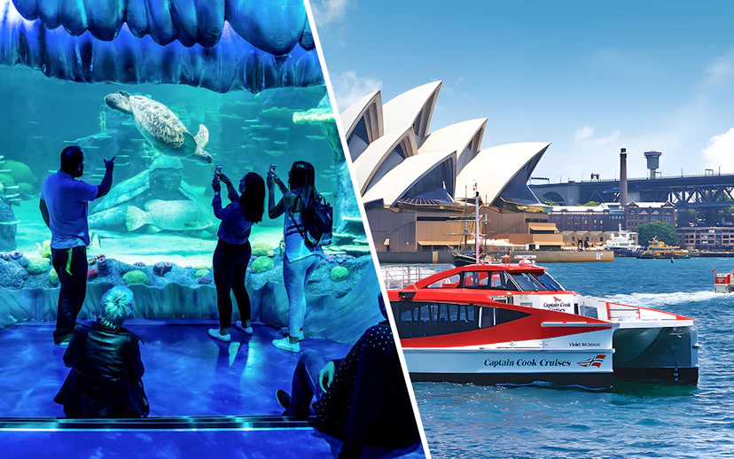 SEA LIFE Sydney Aquarium visitors viewing sea turtle; ferry near Sydney Opera House.