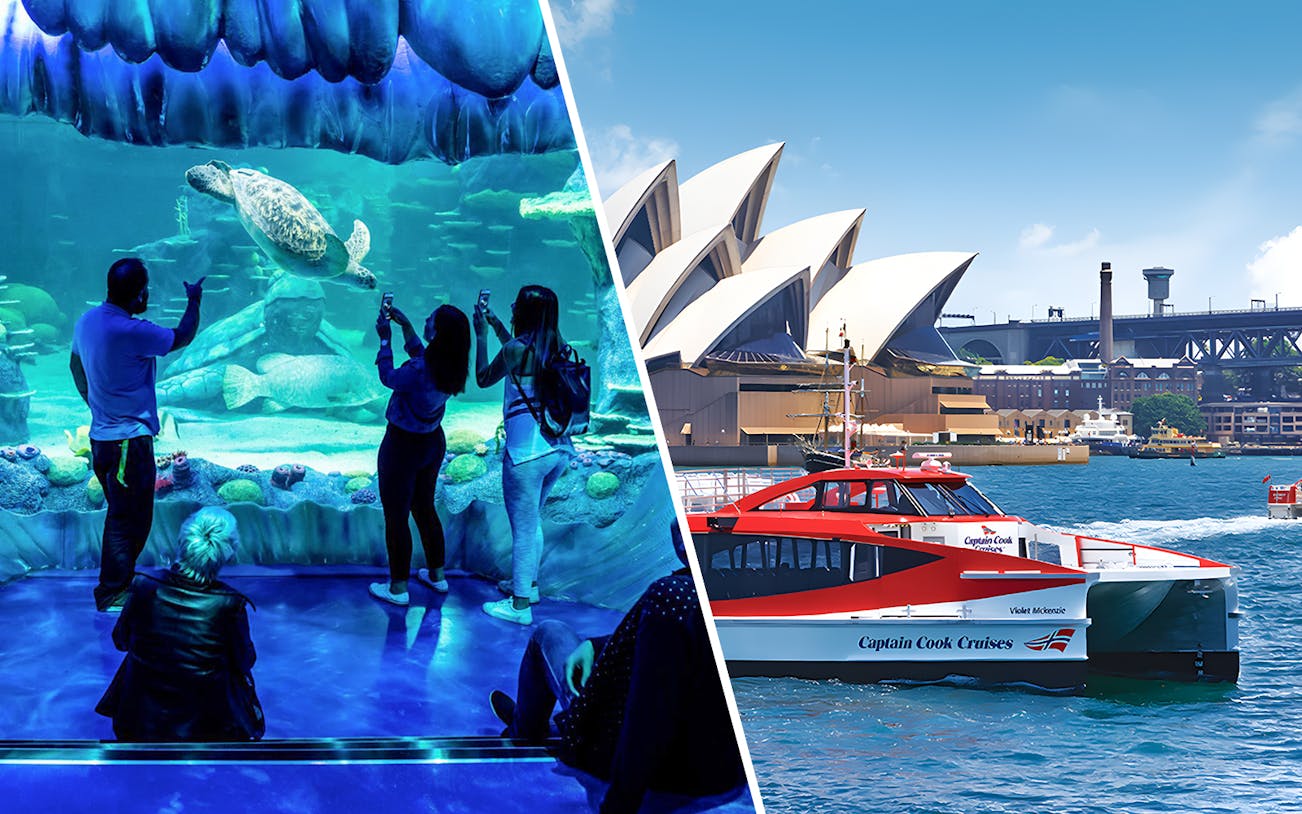 SEA LIFE Sydney Aquarium visitors viewing sea turtle; ferry near Sydney Opera House.