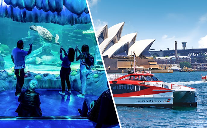 SEA LIFE Sydney Aquarium visitors viewing sea turtle; ferry near Sydney Opera House.