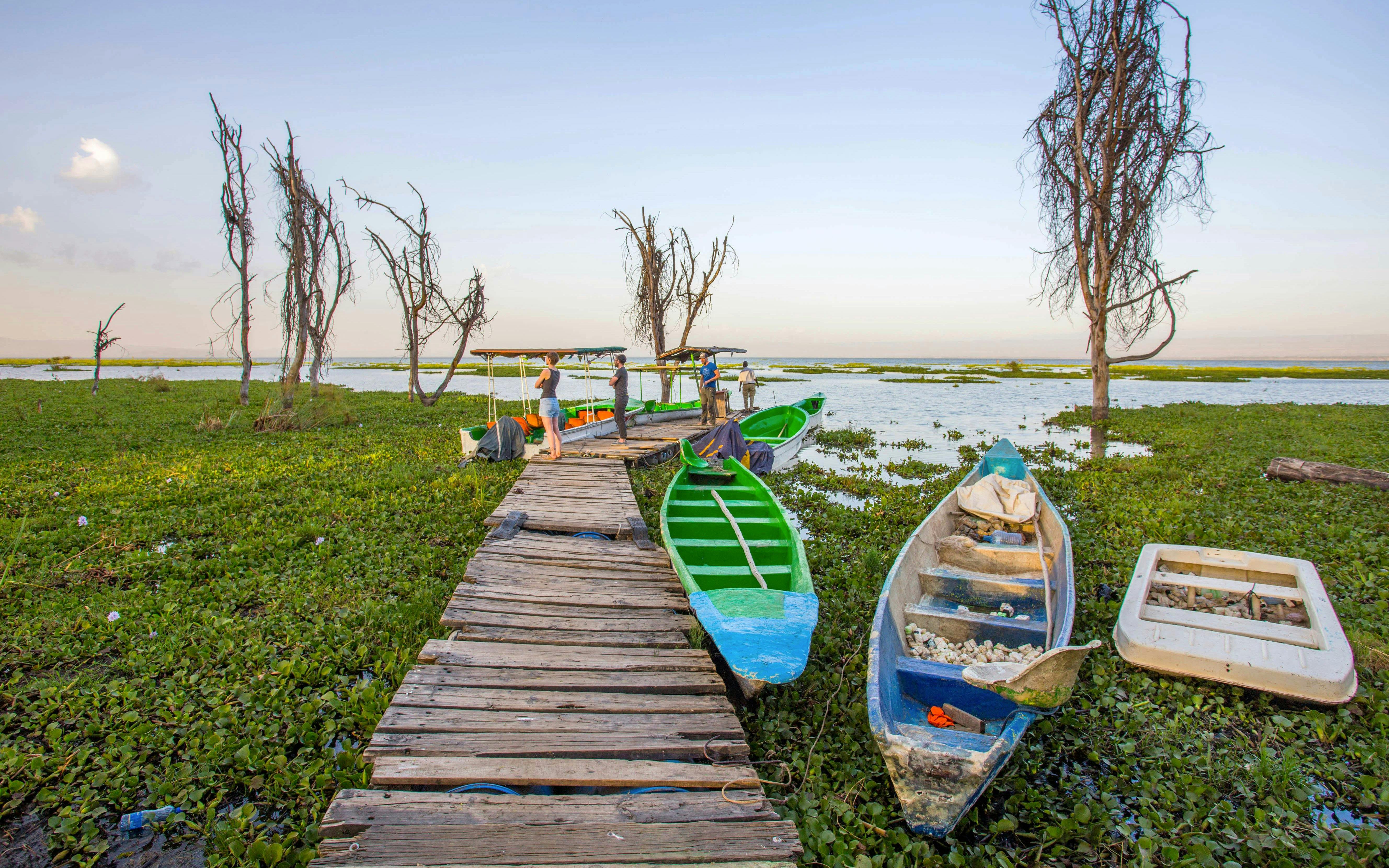 Boats docked on Lake Naivasha with wooden walkway and trees, Nairobi, Kenya.