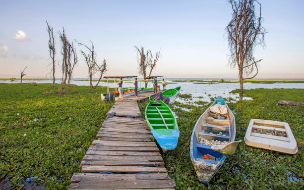 Boats docked on Lake Naivasha with wooden walkway and trees, Nairobi, Kenya.