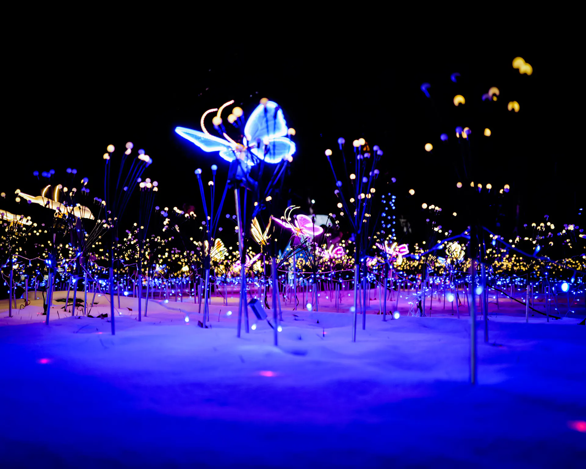 der jardin d’acclimatation - nuits indiennes – laternenfest-1