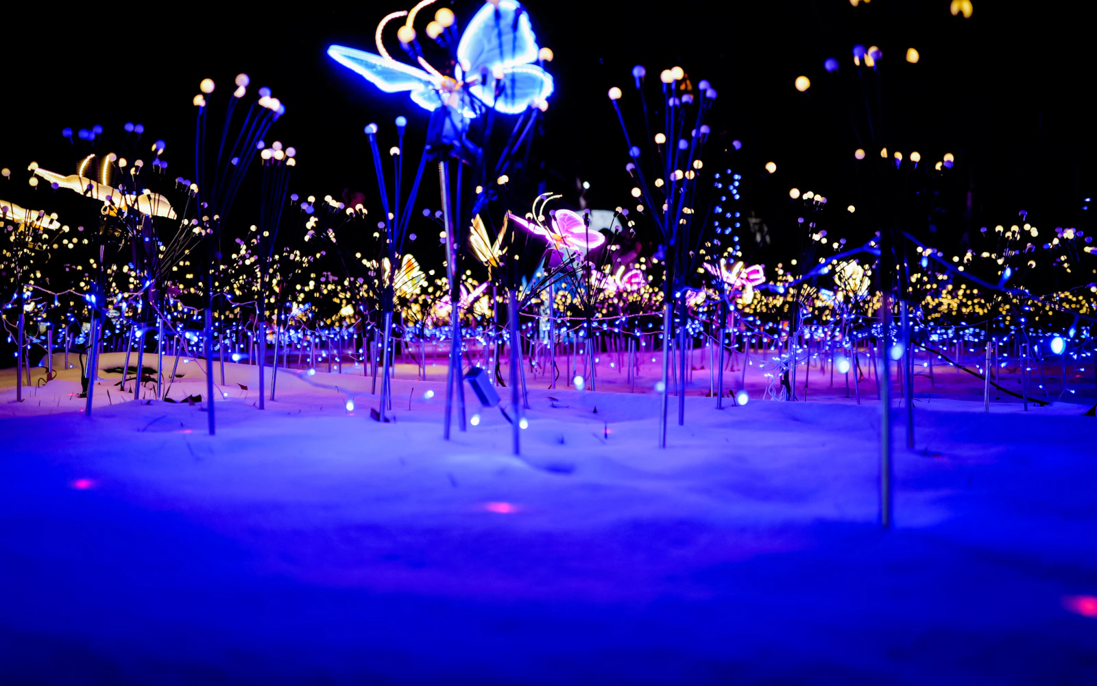 Jardin d'Acclimatation: Nuits Indiennes Lantern Festival Tickets (Product 54434)