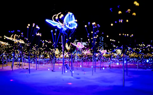 der jardin d’acclimatation - nuits indiennes – laternenfest-1