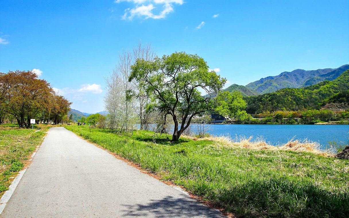 Pathway along a river with trees and mountains on Nami Island, South Korea.