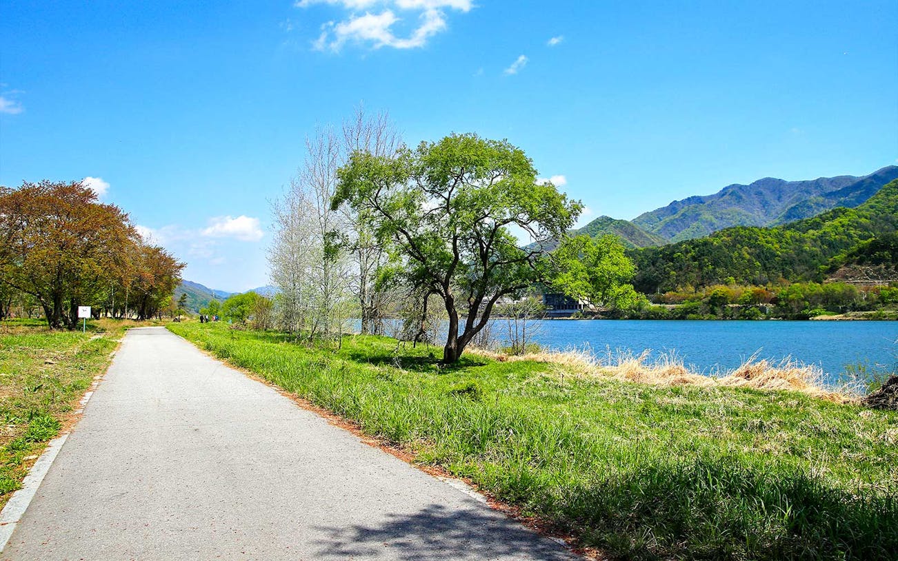 Pathway along a river with trees and mountains on Nami Island, South Korea.