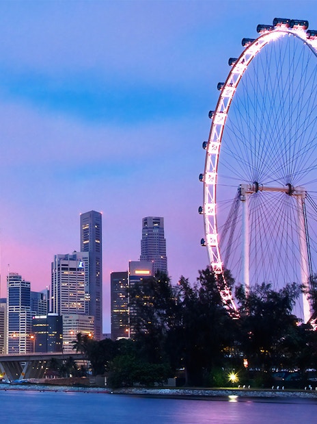 Singapore Flyer illuminated at dusk with city skyline in the background.
