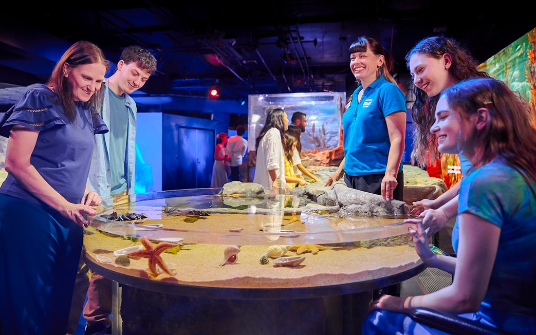 Visitors interacting with marine life at a touch tank in Sea Life Melbourne.