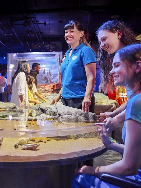 Visitors interacting with marine life at a touch tank in Sea Life Melbourne.