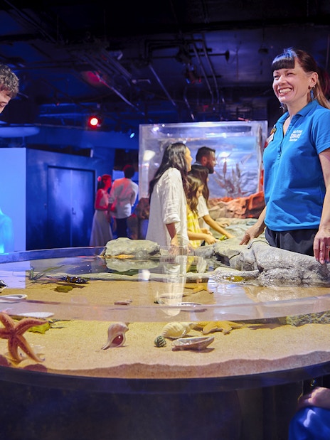 Visitors interacting with marine life at a touch tank in Sea Life Melbourne.