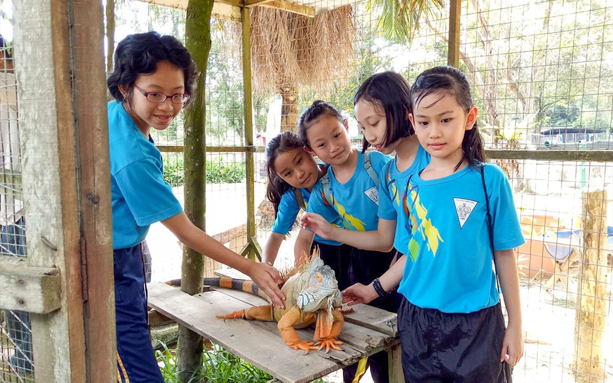 Children interacting with an iguana at PD Ostrich Show Farm.