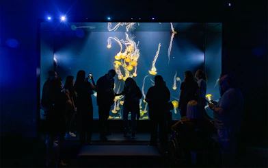 Visitors viewing jellyfish exhibit at Aquarium of the Pacific, Los Angeles.