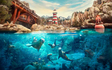 Seals swimming and resting near a lighthouse at SeaWorld Abu Dhabi.
